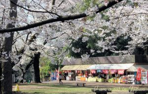 Omiya Park light meal shop