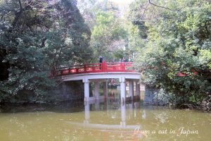 Hikawa Shrine, pond, Saitama Omiya