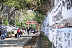 Hikawa Shrine, approach to the shrine, Saitama Omiya