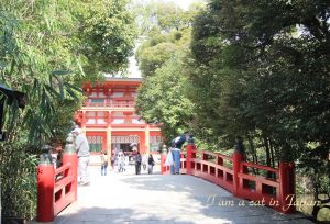 Hikawa Shrine, Saitama Omiya