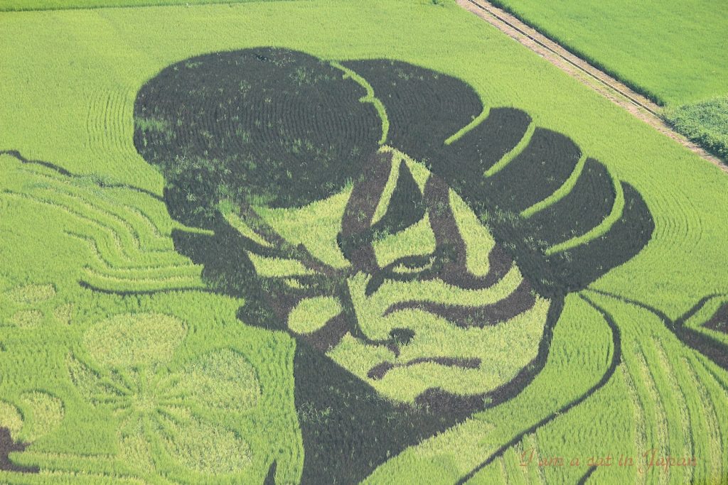 Rice paddy art Kabuki