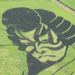 Rice paddy art Kabuki