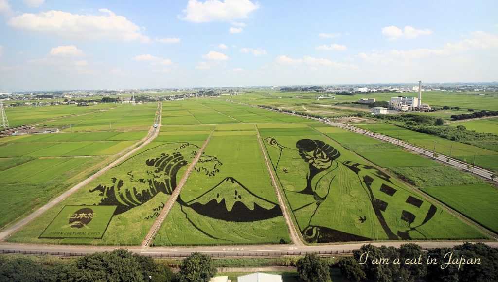 Rice paddy art in 2021 Gyoda